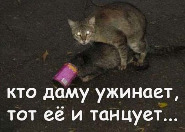 Сегодня пятницо!