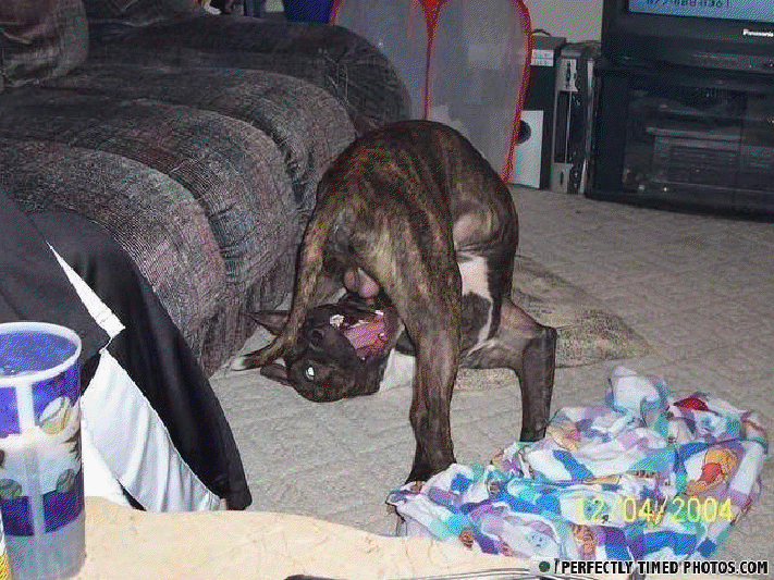 За секунду до... За секунду до...