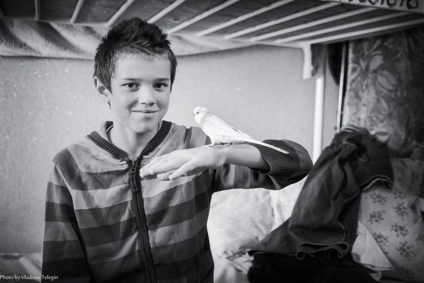 Сводки от ополчения Новороссии 29.11.2014 Часть 2 Сводки от ополчения Новороссии 29.11.2014 Часть 2