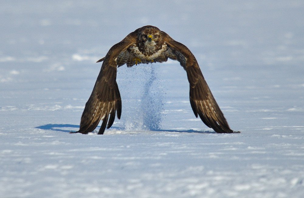 За секунду до... За секунду до...