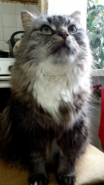 Сводки от ополчения Новороссии 30.11.2014 Часть 1