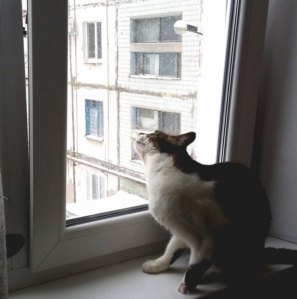 Сводки от ополчения Новороссии 30.11.2014 Часть 1