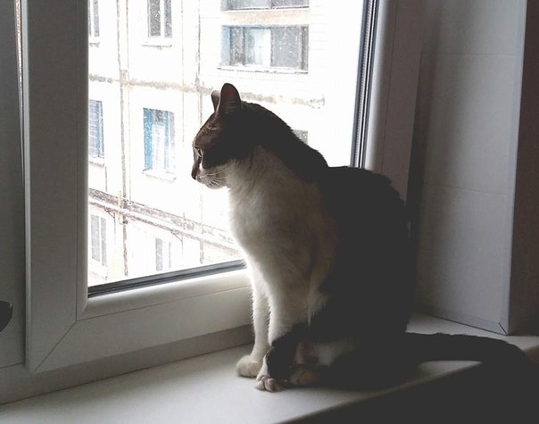 Сводки от ополчения Новороссии 30.11.2014 Часть 1