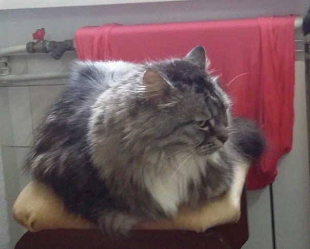 Сводки от ополчения Новороссии 30.11.2014 Часть 1