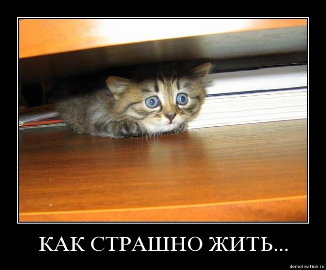 На Кубани продолжается тотальная, агрессивная русификация, — украинский журнал