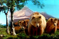 Здесь начинается Россия 