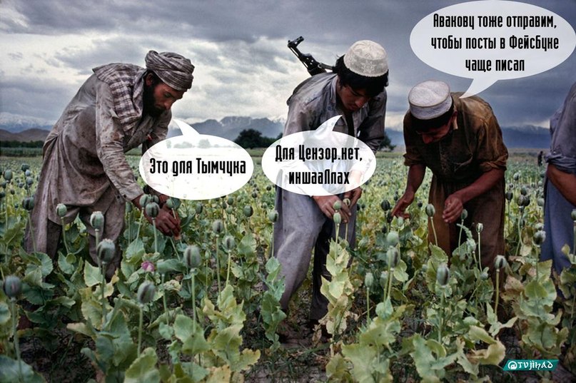 Политика и юмор Политика и юмор