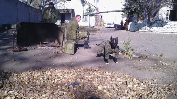 Сводки от ополчения Новоросси 01.12.2014 Часть 1 Сводки от ополчения Новоросси 01.12.2014 Часть 1