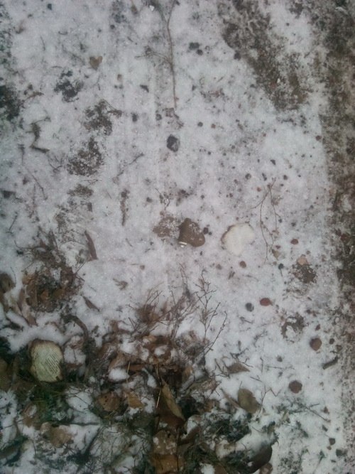 Сводки от ополчения Новоросси 01.12.2014 Часть 1 Сводки от ополчения Новоросси 01.12.2014 Часть 1