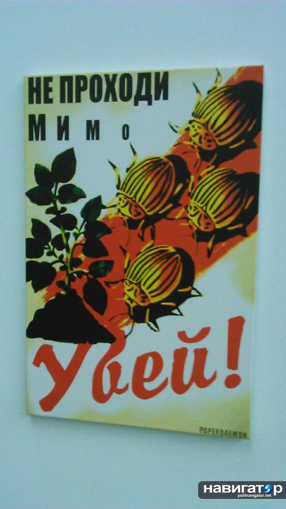 Сводки от ополчения Новоросси 03.12.2014 Сводки от ополчения Новоросси 03.12.2014