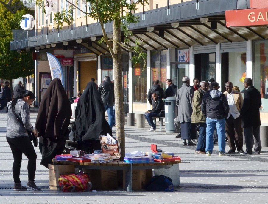 В Швеции националисты валят правительство за то что оно не сокращает иммиграцию В Швеции националисты валят правительство за то что оно не сокращает иммиграцию