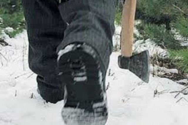 Жители Одесской области крадут дрова и рубят лес, чтобы согреться Жители Одесской области крадут дрова и рубят лес, чтобы согреться