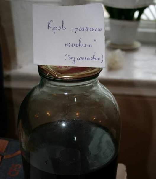 Украинские школьники согревают солдат "кровью российских младенцев" Украинские школьники согревают солдат "кровью российских младенцев"