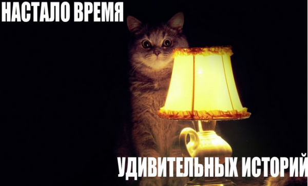 Подборка новостей страны породистых скакунов 09-12-2014 (Часть 2) Подборка новостей страны породистых скакунов 09-12-2014 (Часть 2)