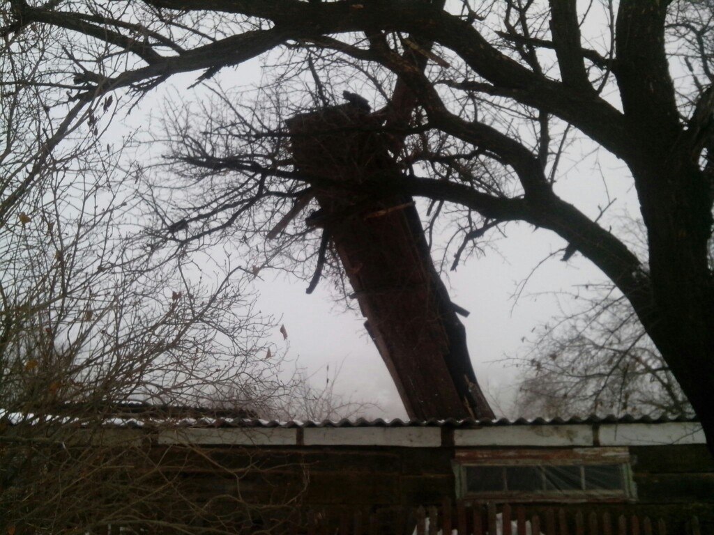 Сводки от ополчения Новороссии 10.12.2014 Сводки от ополчения Новороссии 10.12.2014