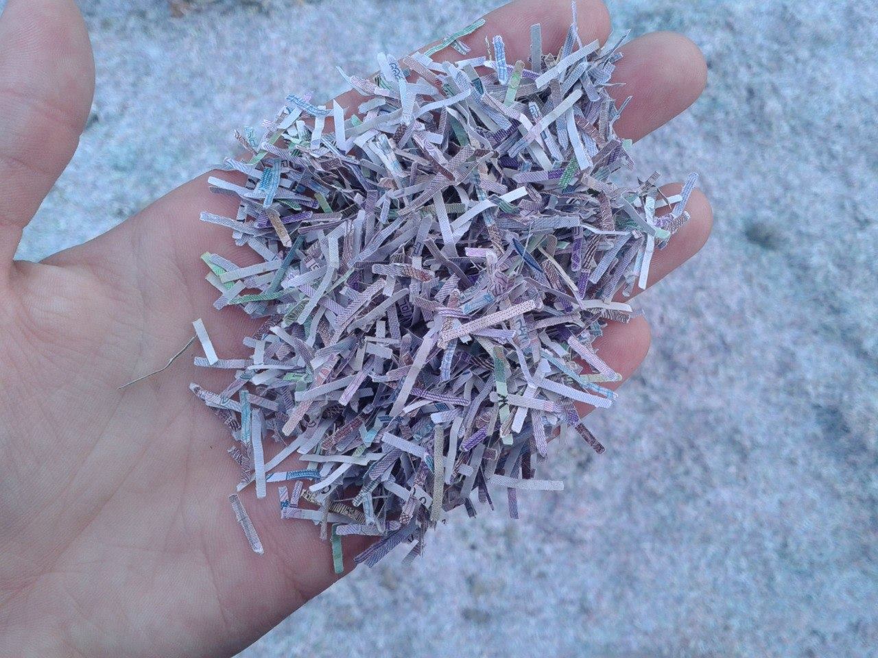 Сводки от ополчения Новороссии 10.12.2014 Сводки от ополчения Новороссии 10.12.2014