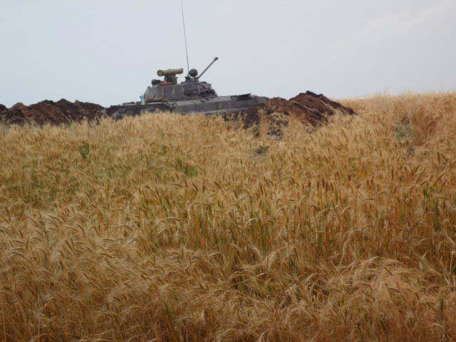 Вот такой бывает «благодарность» воинов так называемой АТО