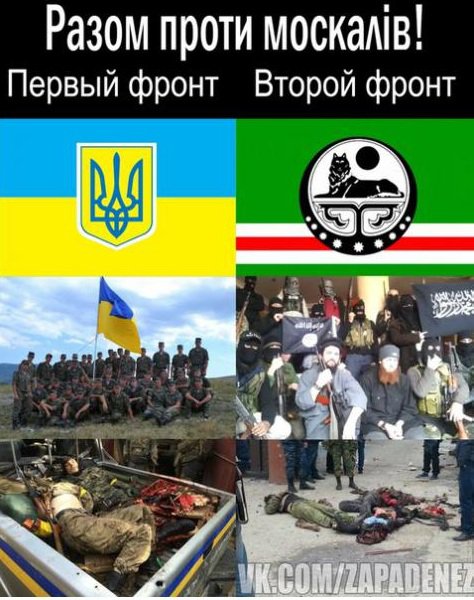 "Мыздобулы" в картинках. Смешных и не очень... 10-12-2014