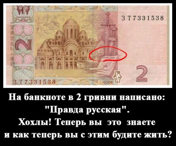 "Мыздобулы" в картинках. Смешных и не очень... 10-12-2014