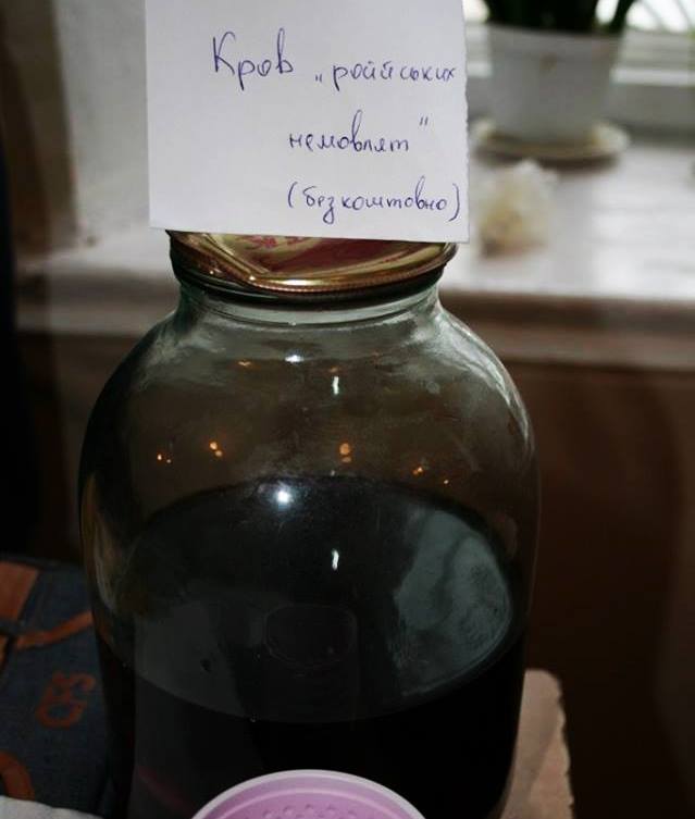 Сводки от ополчения Новороссии 10.12.2014 Сводки от ополчения Новороссии 10.12.2014