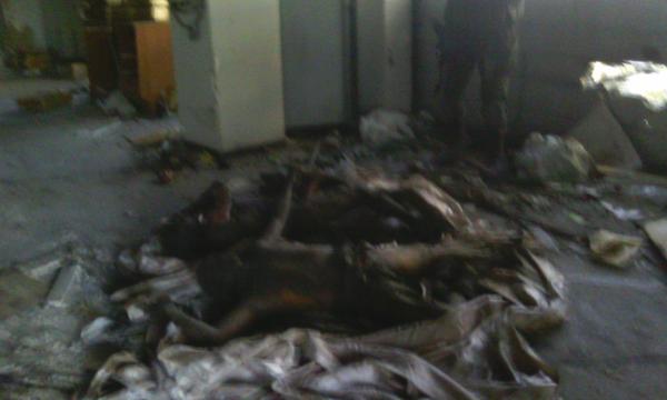 Сводки от ополчения Новороссии 11.12.2014 Сводки от ополчения Новороссии 11.12.2014