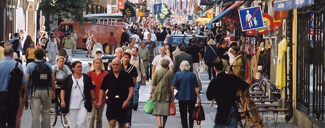 Шведы поддерживают националистов, разгонавших правительство
