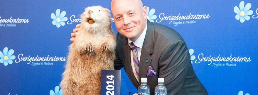 Шведы поддерживают националистов, разгонавших правительство