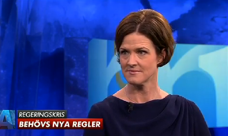 Шведы поддерживают националистов, разгонавших правительство