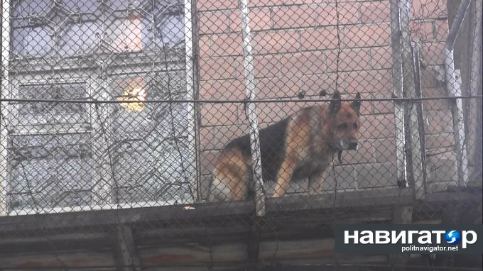 На экскурсию в донецкое СИЗО: подростки сходили на «профилактику» На экскурсию в донецкое СИЗО: подростки сходили на «профилактику»