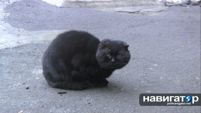 На экскурсию в донецкое СИЗО: подростки сходили на «профилактику» На экскурсию в донецкое СИЗО: подростки сходили на «профилактику»