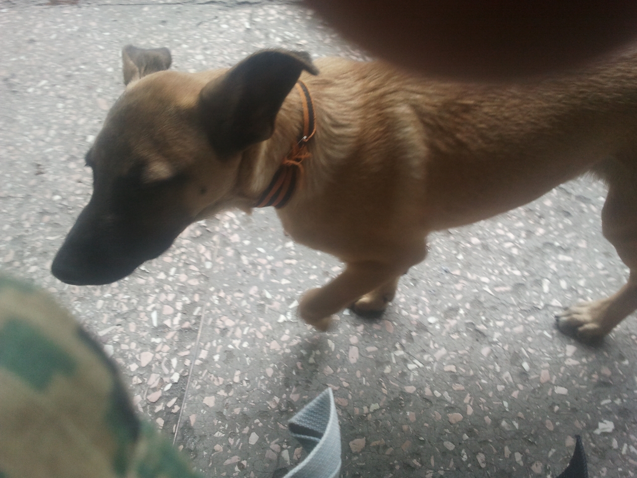 Ополченец с позывным "Ноябрь" сражается за Новороссию. Нужна помощь