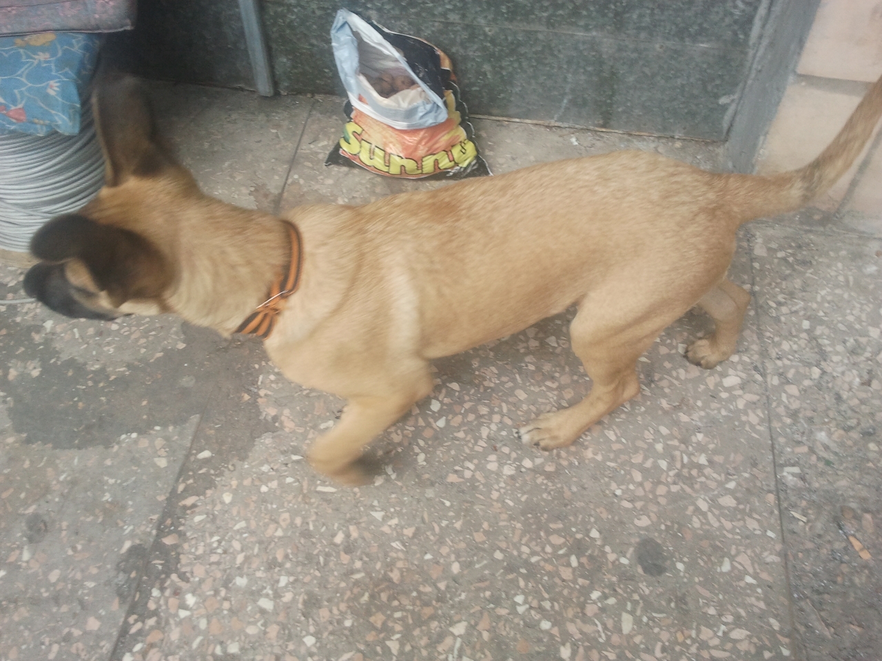 Ополченец с позывным "Ноябрь" сражается за Новороссию. Нужна помощь