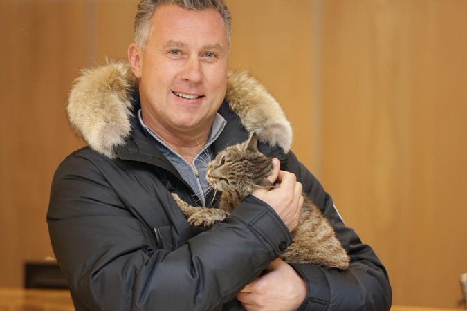 Обед кота-гурмана оплатит ХК «Адмирал»: рыжий обжора нашелся и станет талисманом клуба