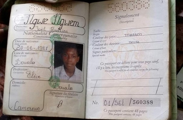 Паспорта бойцов украинской армии.