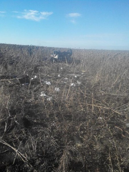 Сводки от ополчения Новороссии 17.12.2014 Сводки от ополчения Новороссии 17.12.2014