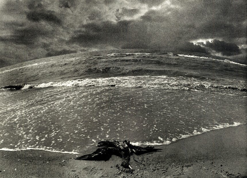 Украина у последней черты. размышления накануне Нового года