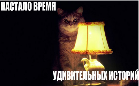 Подборка новостей из страны породистых скакунов 19-12-2014