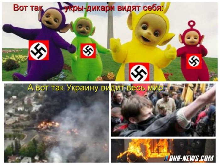 Подборка новостей из страны породистых скакунов 19-12-2014