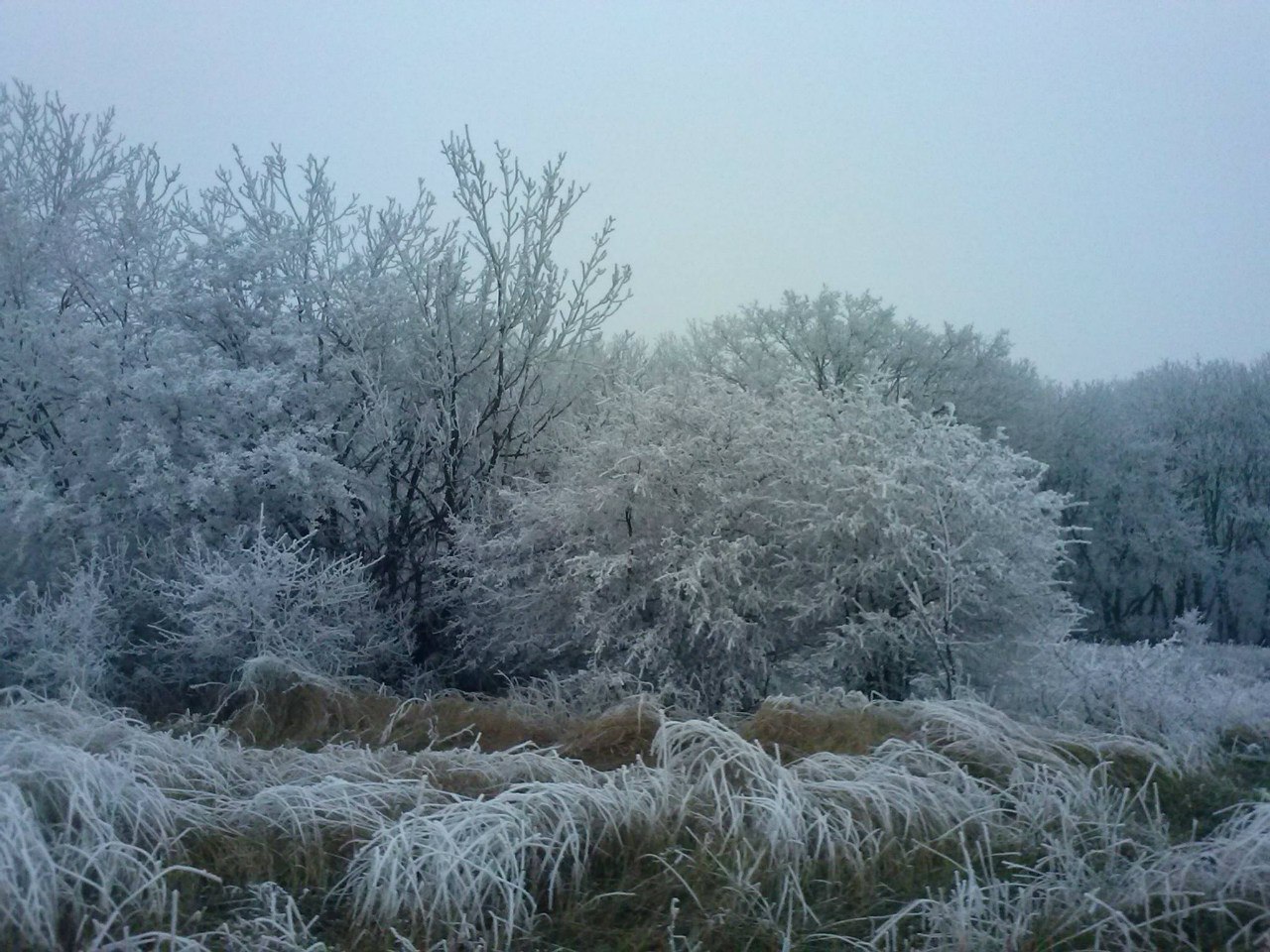 Сводки от ополчения Новороссии 20.12.2014 Сводки от ополчения Новороссии 20.12.2014