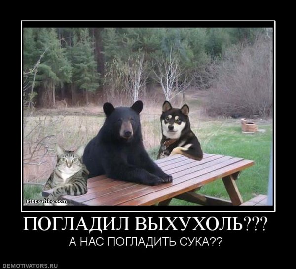 Из жизни выхухолей Из жизни выхухолей