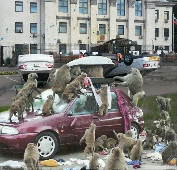 Яценюк превращает Украину во вторую Румынию – без машиностроения, химпрома и металлургии Яценюк превращает Украину во вторую Румынию – без машиностроения, химпрома и металлургии