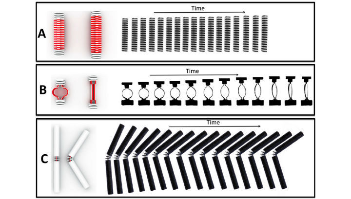 На смену трехмерной печати приходит четырехмерная На смену трехмерной печати приходит четырехмерная