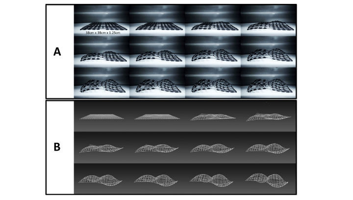 На смену трехмерной печати приходит четырехмерная На смену трехмерной печати приходит четырехмерная