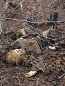 Сводки от ополчения Новороссии 23.12.2014 Сводки от ополчения Новороссии 23.12.2014