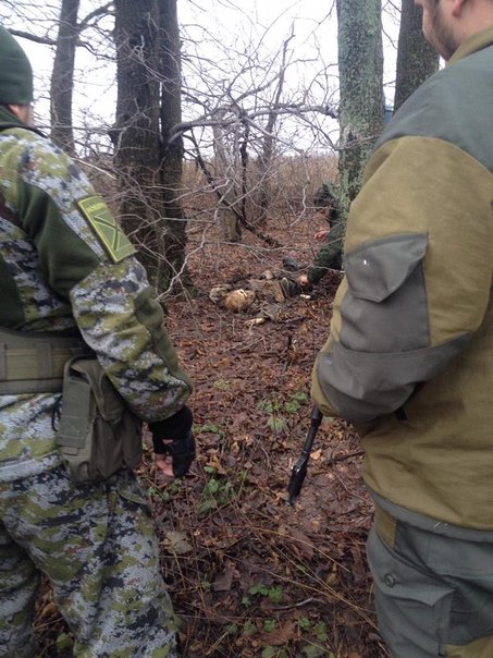 Сводки от ополчения Новороссии 23.12.2014 Сводки от ополчения Новороссии 23.12.2014
