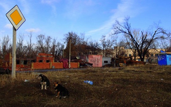 Сводки от ополчения Новороссии 24.12.2014 Сводки от ополчения Новороссии 24.12.2014