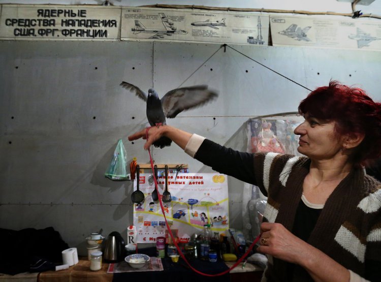 Сводки от ополчения Новороссии 24.12.2014 Сводки от ополчения Новороссии 24.12.2014