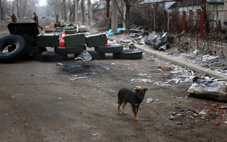 Сводки от ополчения Новороссии 24.12.2014 Сводки от ополчения Новороссии 24.12.2014