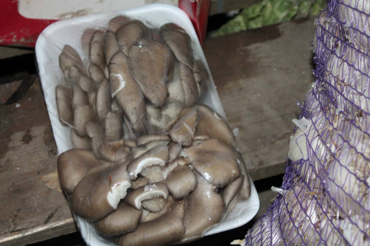 Сводки от ополчения Новороссии 24.12.2014 Сводки от ополчения Новороссии 24.12.2014