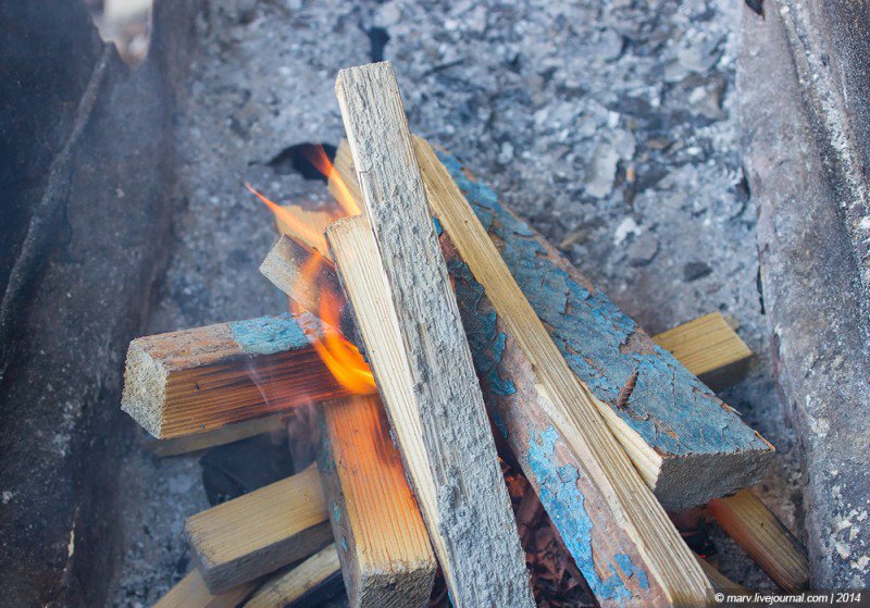 Плов с мидиями «под дулами автоматов». Много фото Плов с мидиями «под дулами автоматов». Много фото